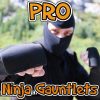 Professional Ninja Uniform