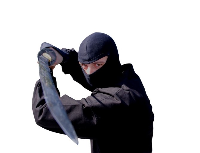 Pro-Ninja-Mask.jpg