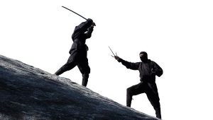 5 Common Myths about Ninjas Everyone Thinks are True